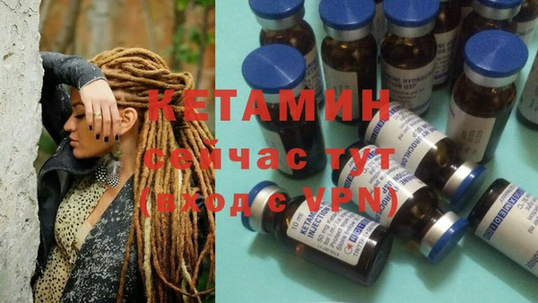 шишки Волосово