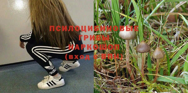 прущая мука Володарск