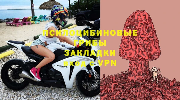 шишки Волосово