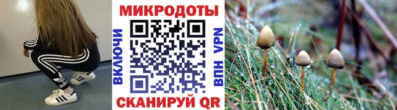 маркетплейс Telegram  Таганрог  Псилоцибиновые грибы Magic Shrooms  как найти наркотики 