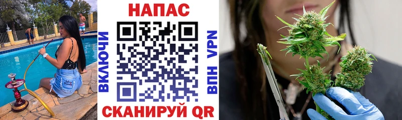 где купить   Таганрог  Бошки марихуана тримм 